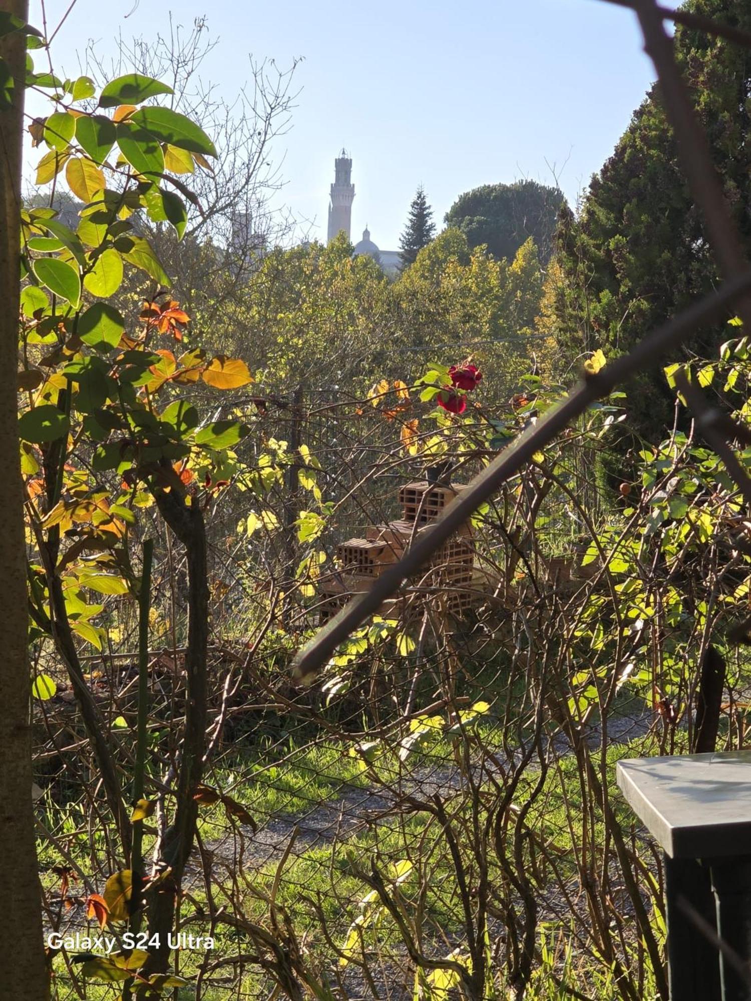 Podere Ponticini Siena Exteriör bild
